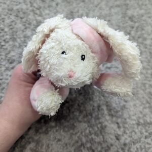 Baby Gund, Baby Paisley collection pink bunny with hat